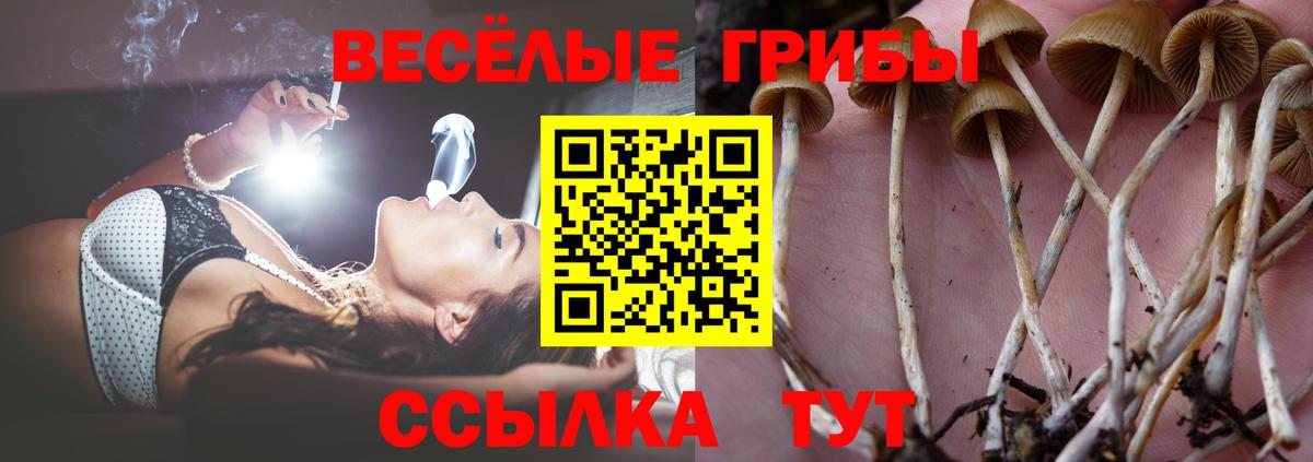 Галлюциногенные грибы ЛСД  Галлюциногенные грибы мухоморы  где найти   Вход с VPN  Кинешма 