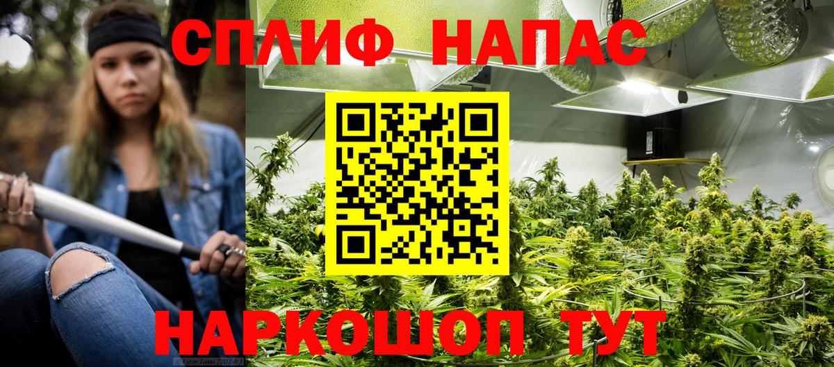 Каннабис планчик  Вход с VPN  Кинешма  Шишки марихуана Bruce Banner  Канабис VHQ 